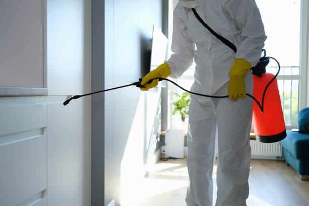 Best Mold Damage Repair  in Oakton, VA