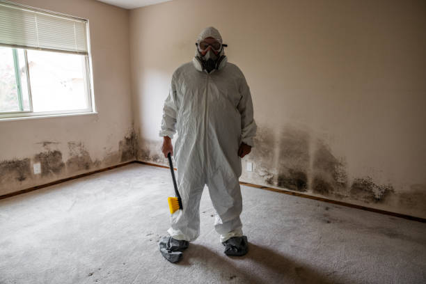 Best Mold Removal Process  in Oakton, VA
